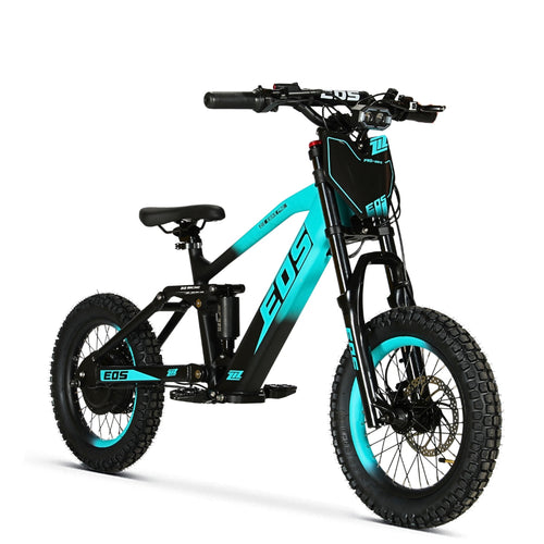 Bici Eléctrica EOS-16 550W 36V 7.5Ah Ziz.Racing - vista 1
