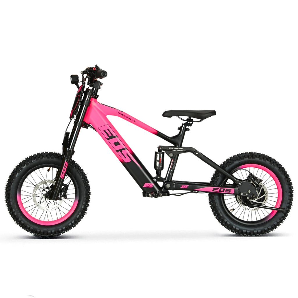 Bici Eléctrica EOS-16 550W 36V 7.5Ah Ziz.Racing - vista 14