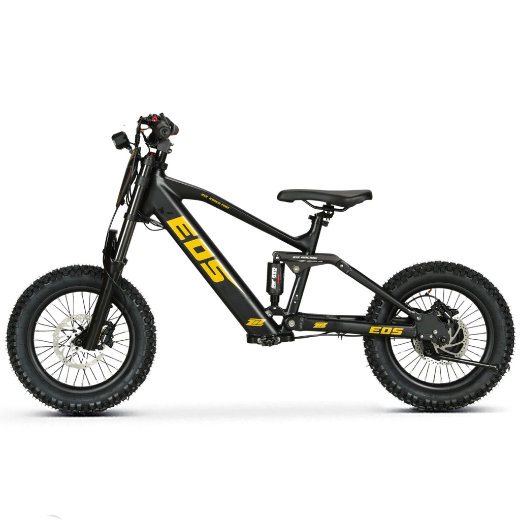 Bici Eléctrica EOS-16 550W 36V 7.5Ah Ziz.Racing - vista 16