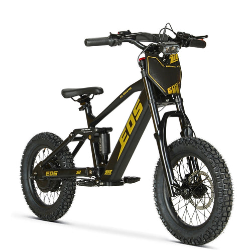 Bici Eléctrica EOS-16 550W 36V 7.5Ah Ziz.Racing - vista 2