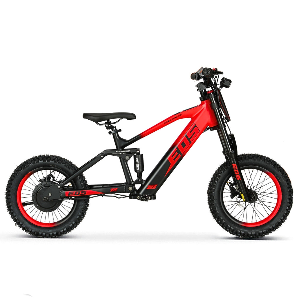 Bici Eléctrica EOS-16 550W 36V 7.5Ah Ziz.Racing - vista 5