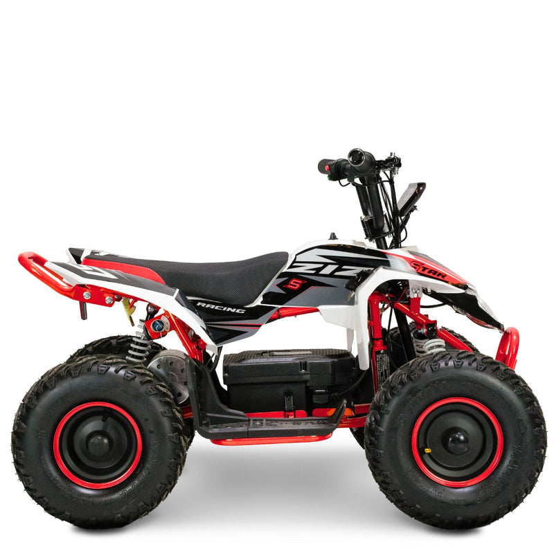 Mini Quad Eléctrico 1000W 36V Star Ziz.Racing, foto 24